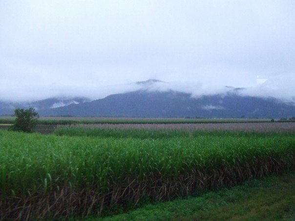 fields with grass in the foreground and mountains in the distance