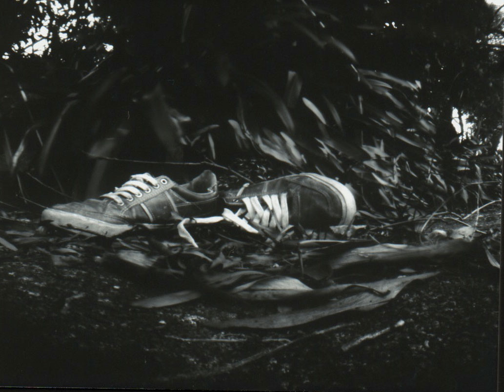 an old po of sneakers laying in the grass