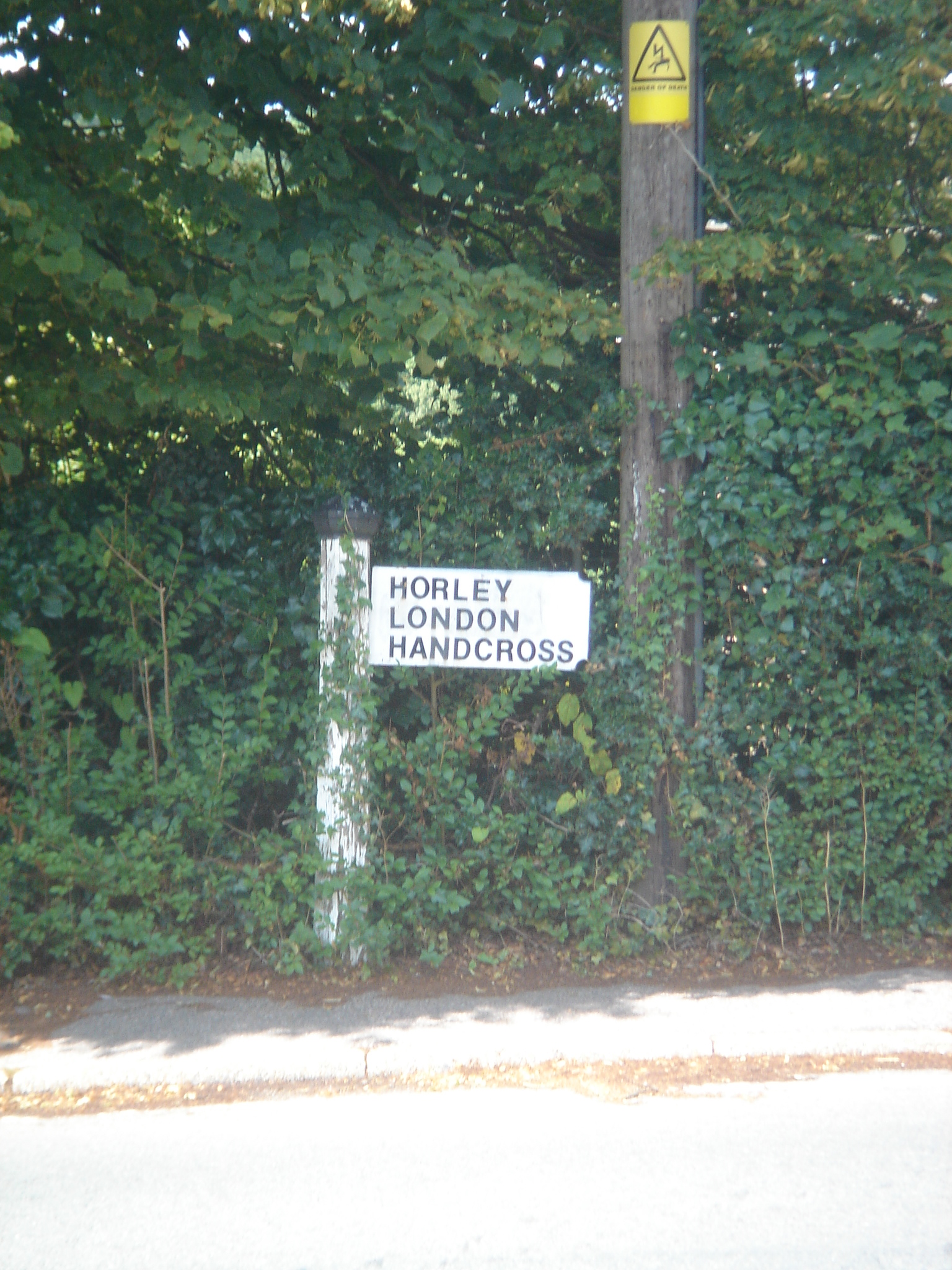 a street sign on a pole near some trees