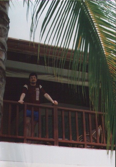 a person standing on a balcony with palm trees