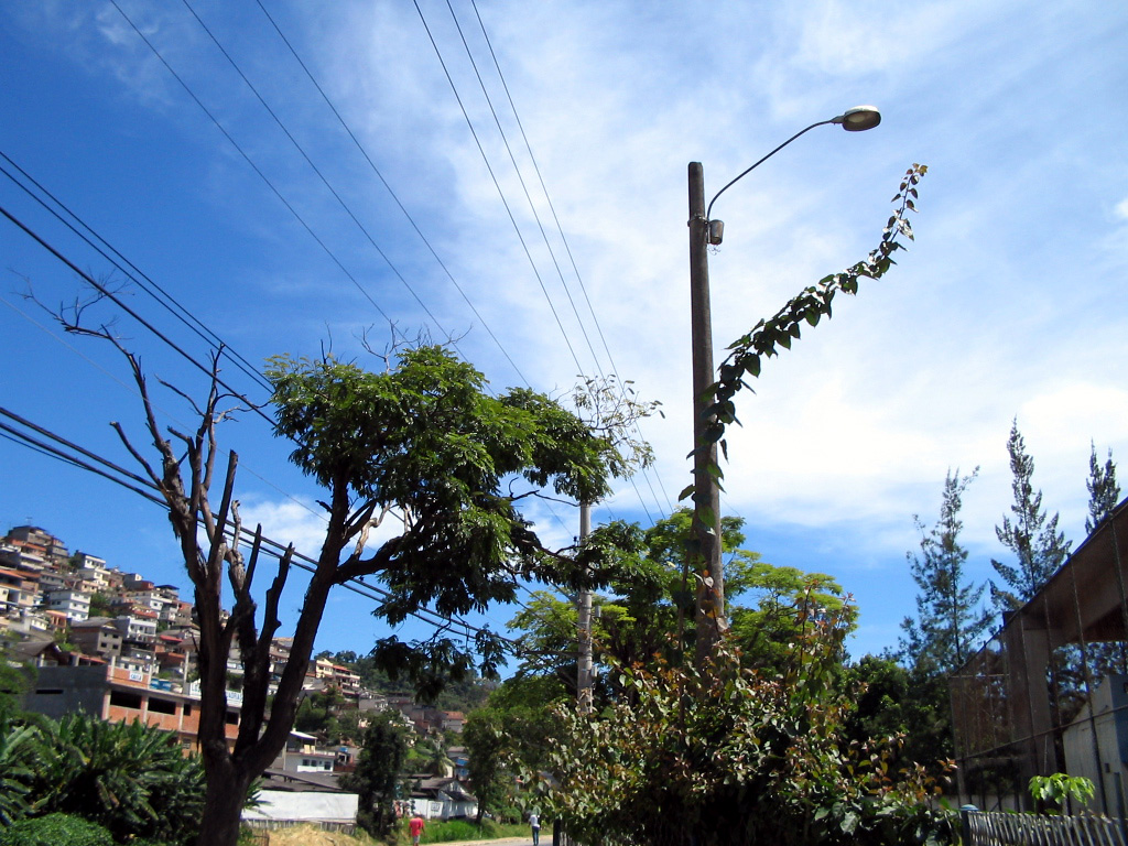 an electric pole on a residential street next to the road