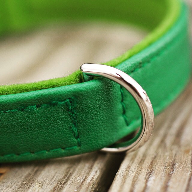 closeup of green  showing the ring on the collar