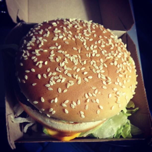 an image of a hamburger in the box
