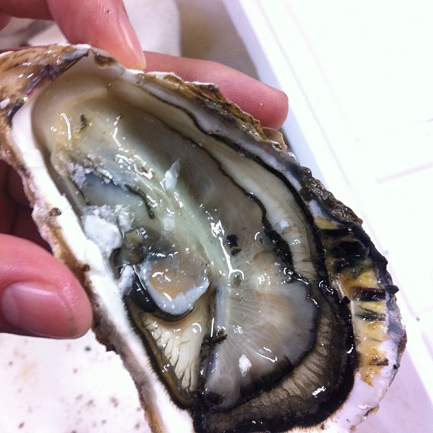someone holding an oyster half up with its shell partially eaten