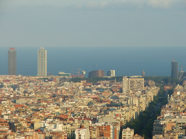 the city skyline is pictured from above the trees