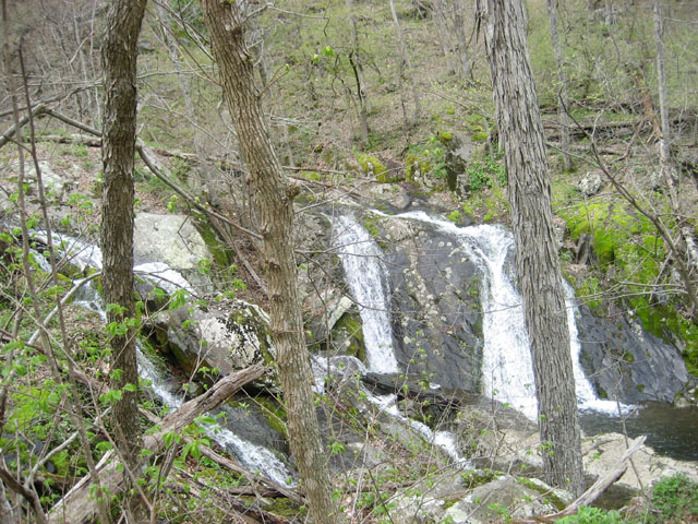 a waterfall in the woods near many trees