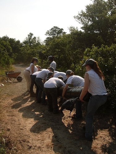 several people hing luggage from a bush to the road