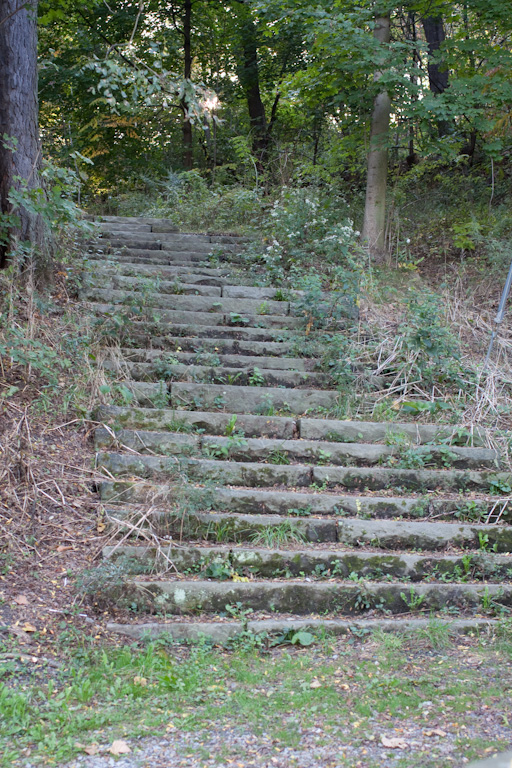an old stone staircase leads to a forested area