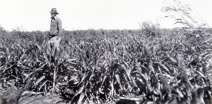 an image of man standing in a field