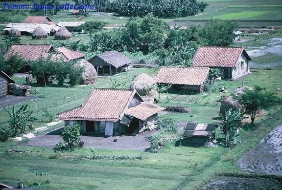 a rural village area has many houses with straw roof tops
