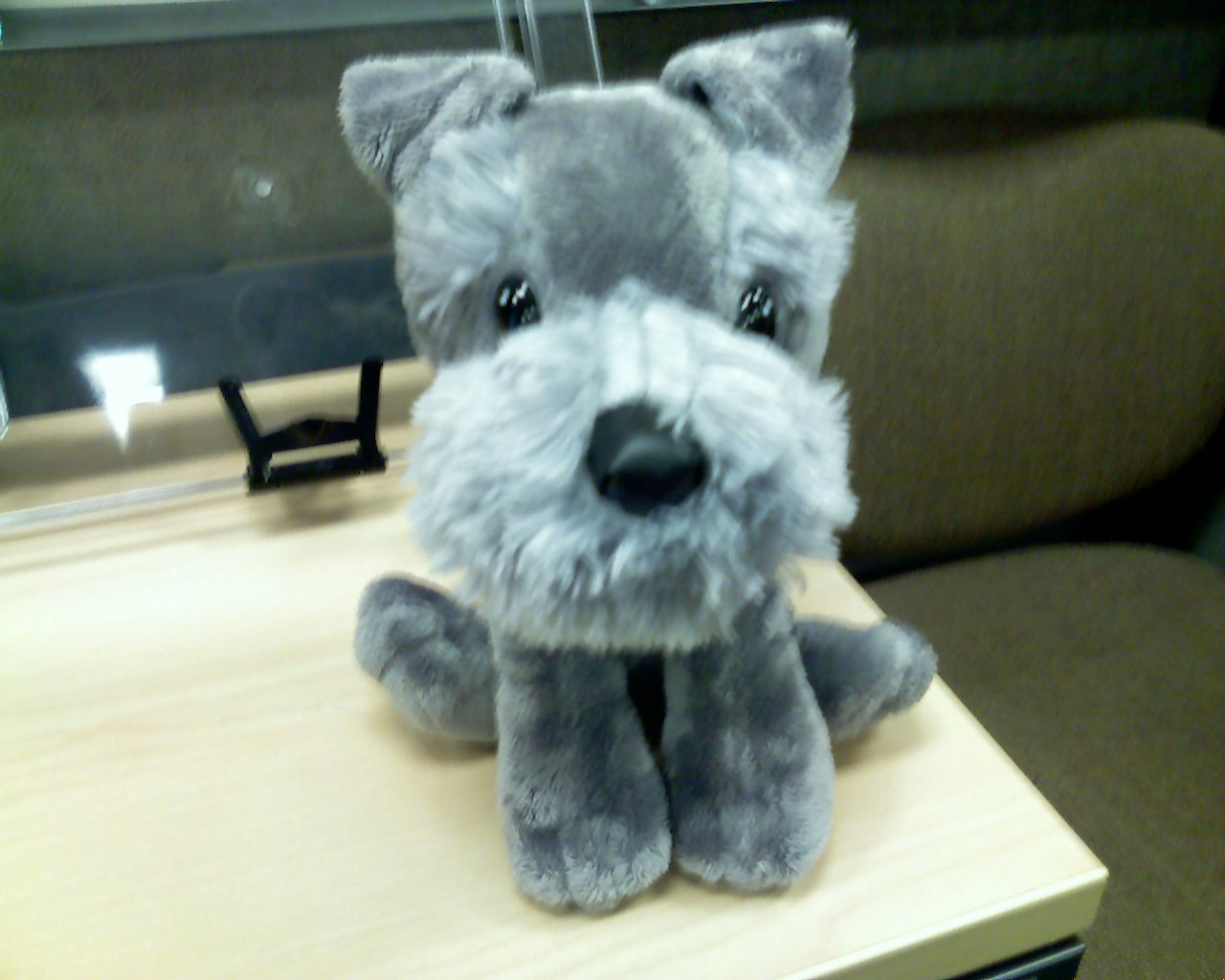 the gray dog has it's paw on top of the stuffed animal