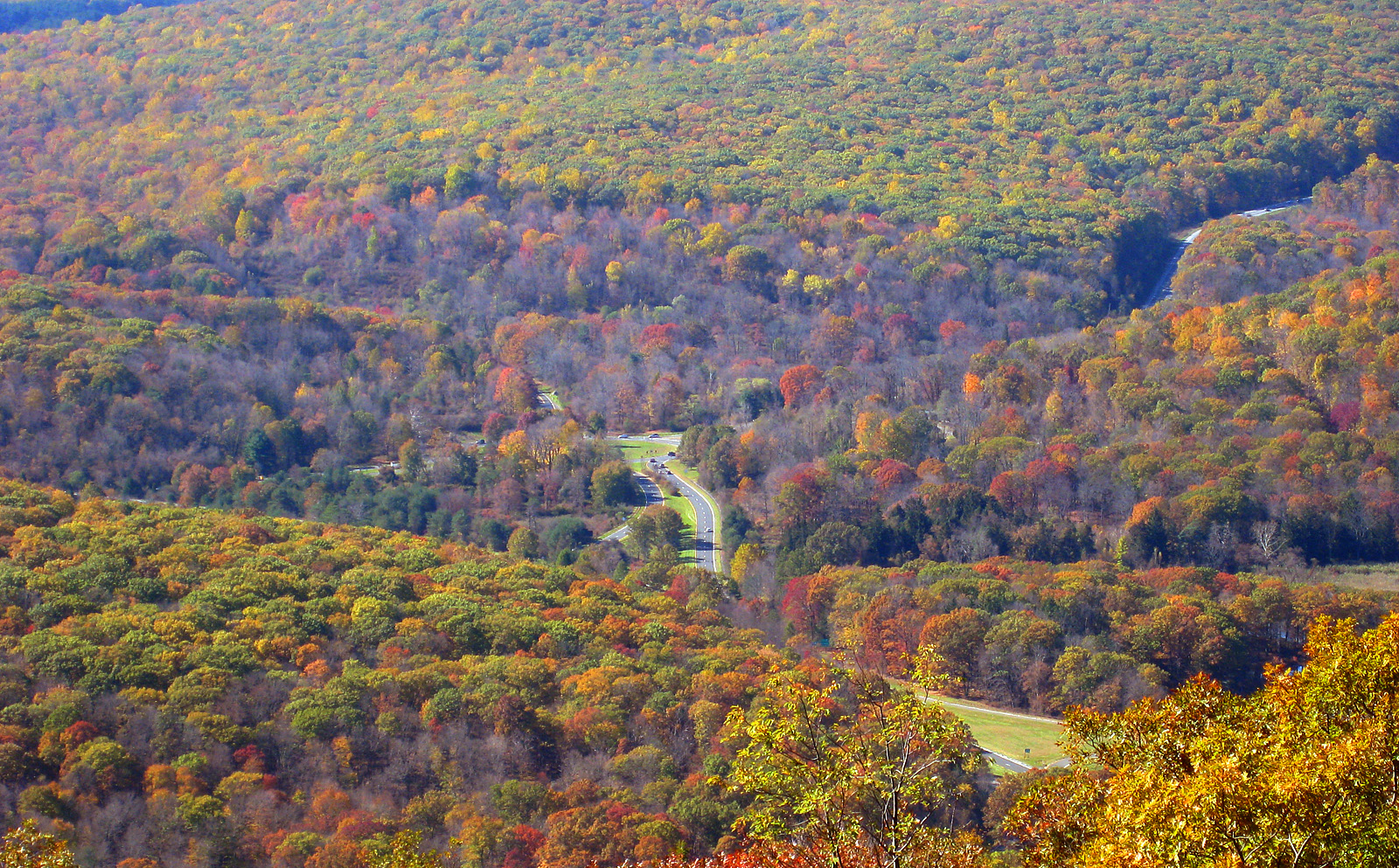 trees with colorful leaves on them at the top of a hill