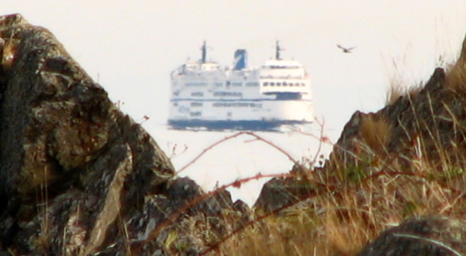 the large ship is sailing in the distance behind the rock formations