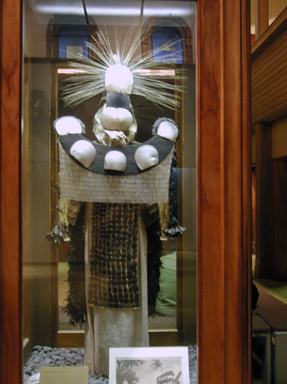 a display case with a sunflower and feather outfit