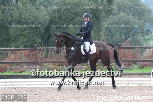 an equestrian rider rides a brown horse on dirt