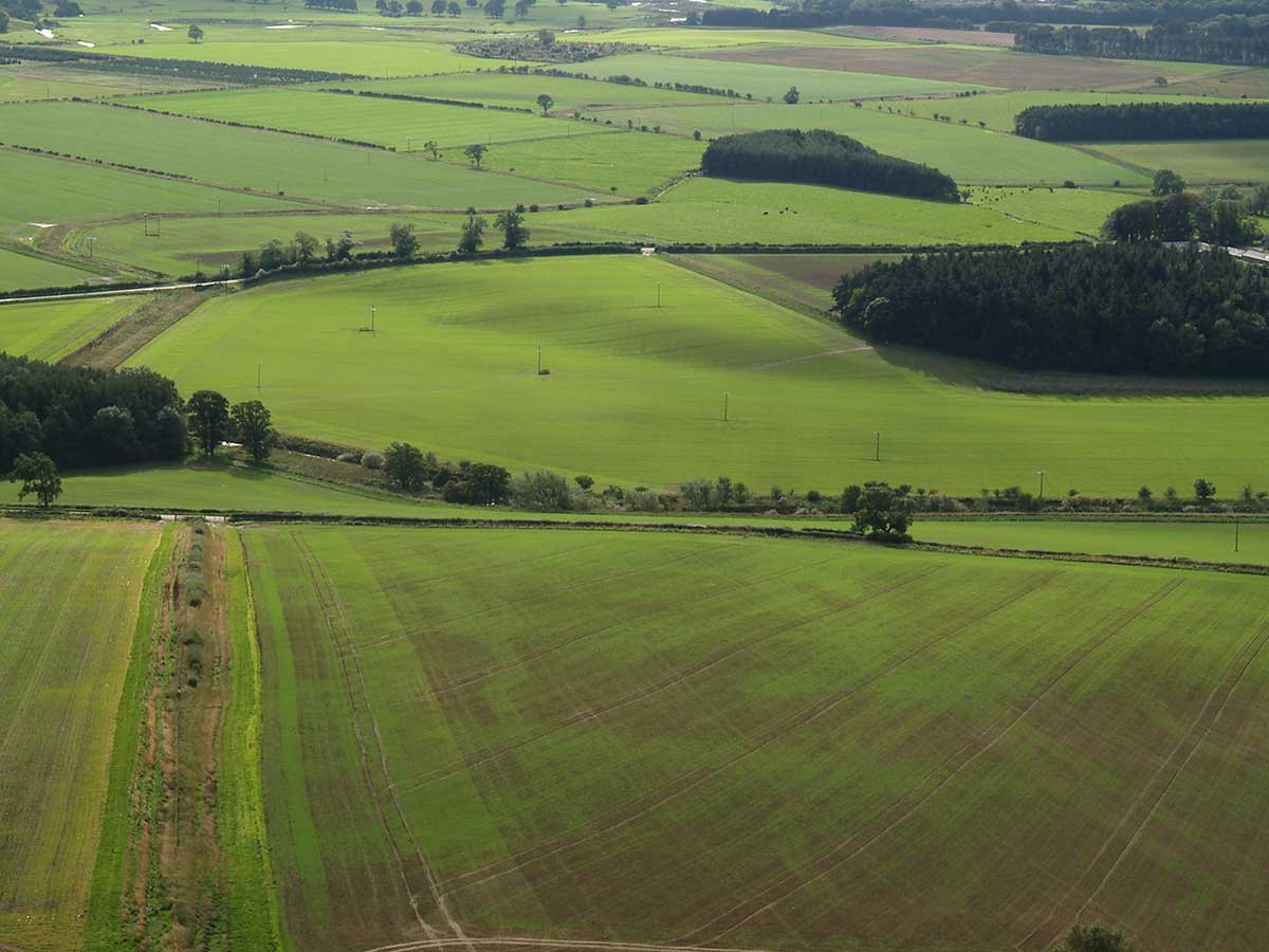 an aerial view of a field with trees and bushes