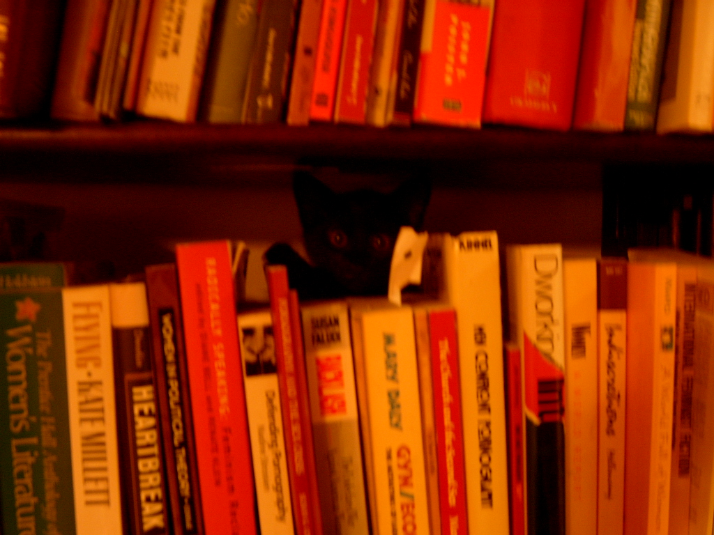a book shelf with many books and a black cat staring