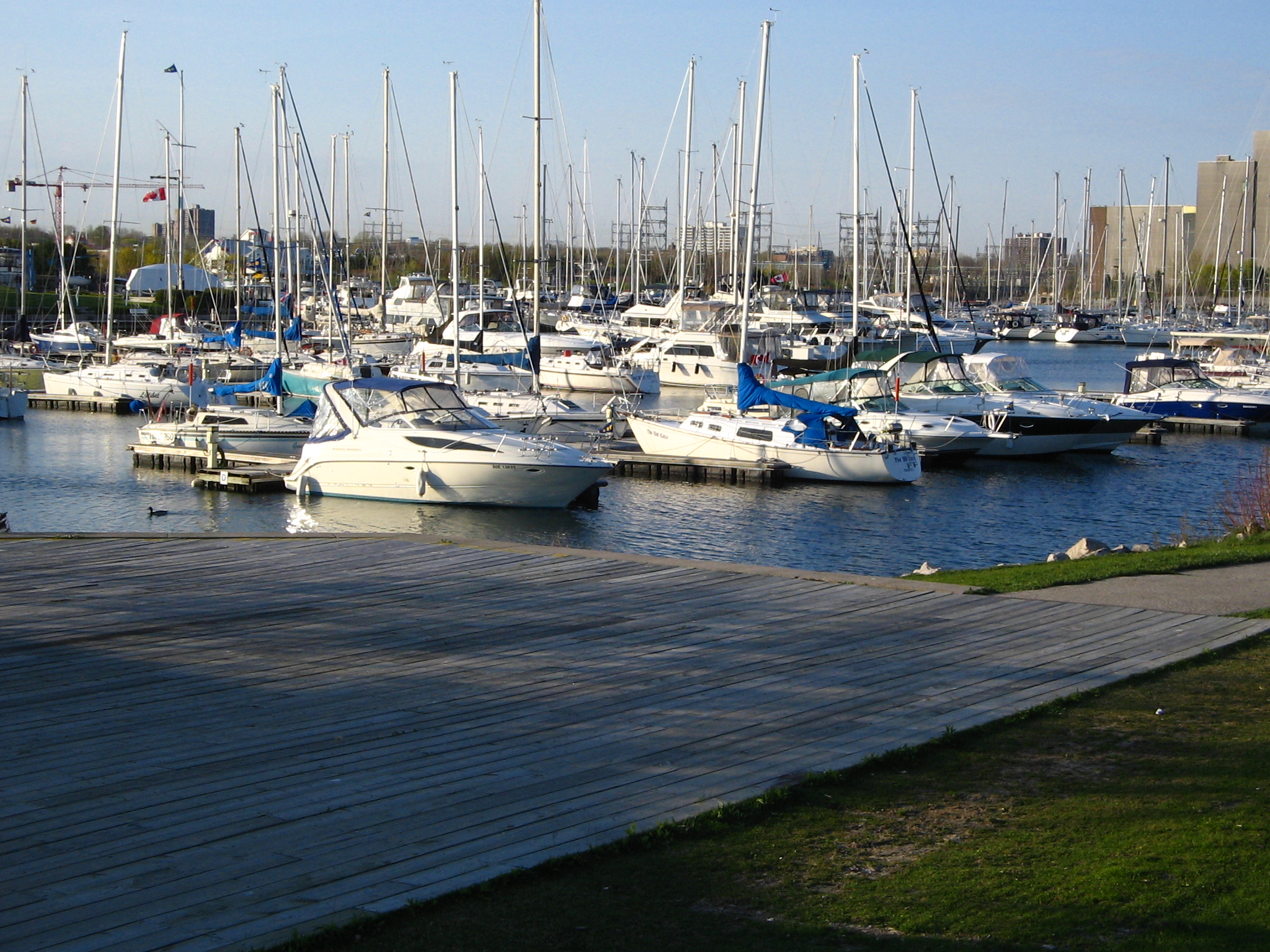 many white boats are in the water near many buildings