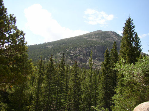 mountains can be seen in this view of a forest