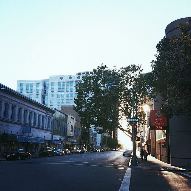 a tree filled city street lined with tall buildings