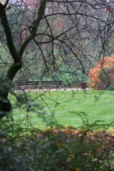 a park with benches, trees and grass