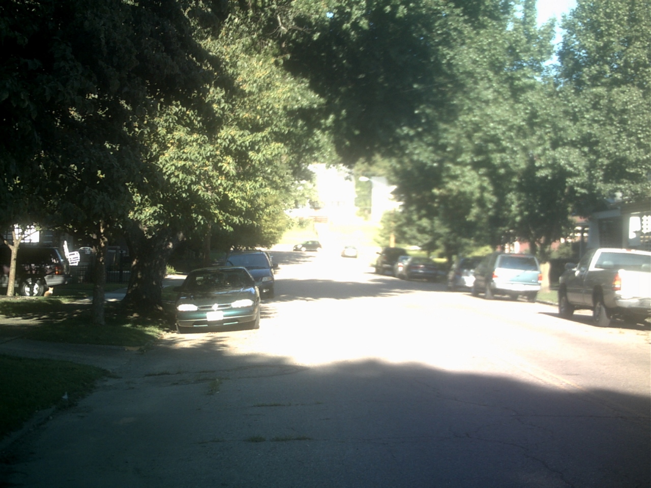 a street with parked cars and trees on both sides