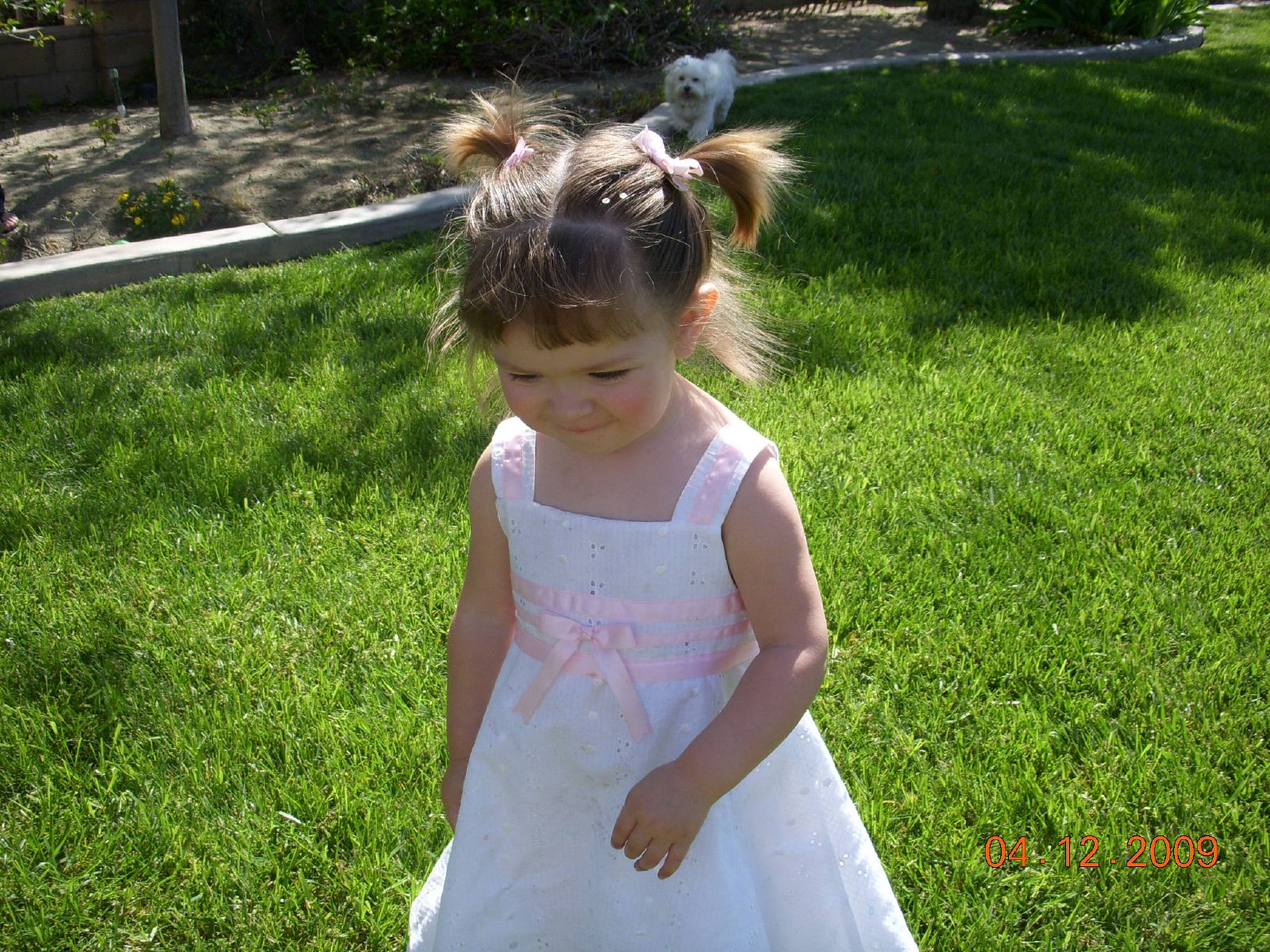 a little girl that is standing in the grass