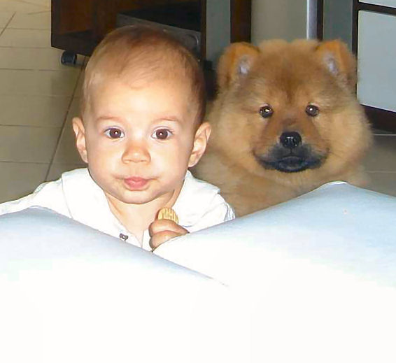 baby and dog at the top of a white chair