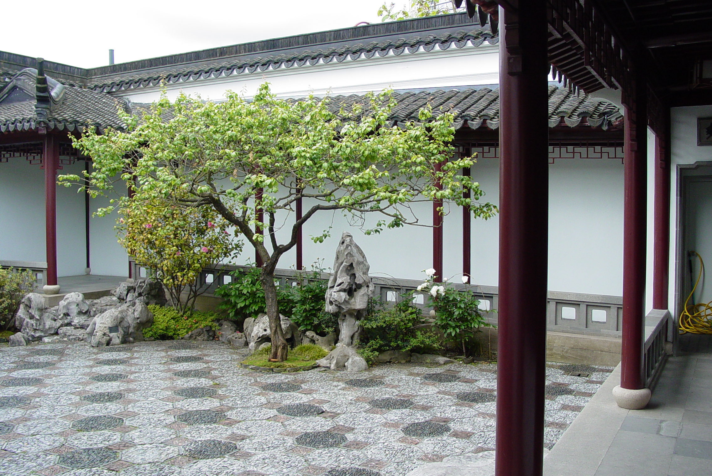 an outside view of some kind of garden with a tree