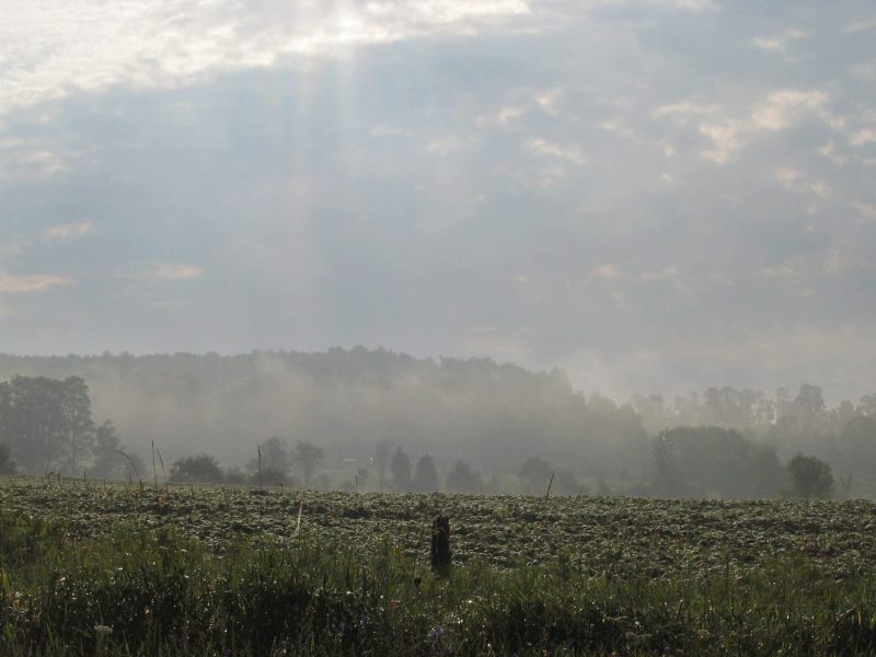 the sky is full of sunlight, and it is hazy