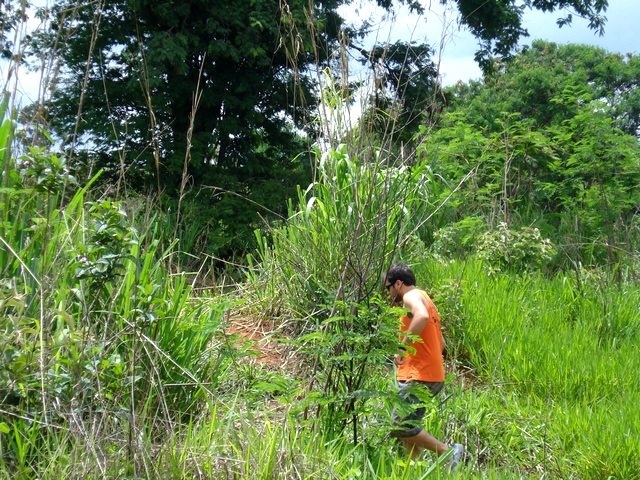 man in orange shirt walking on dirt path near bushes