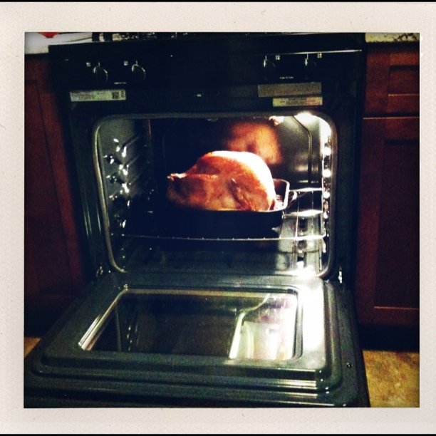 two large turkeys in an oven with wooden cabinets