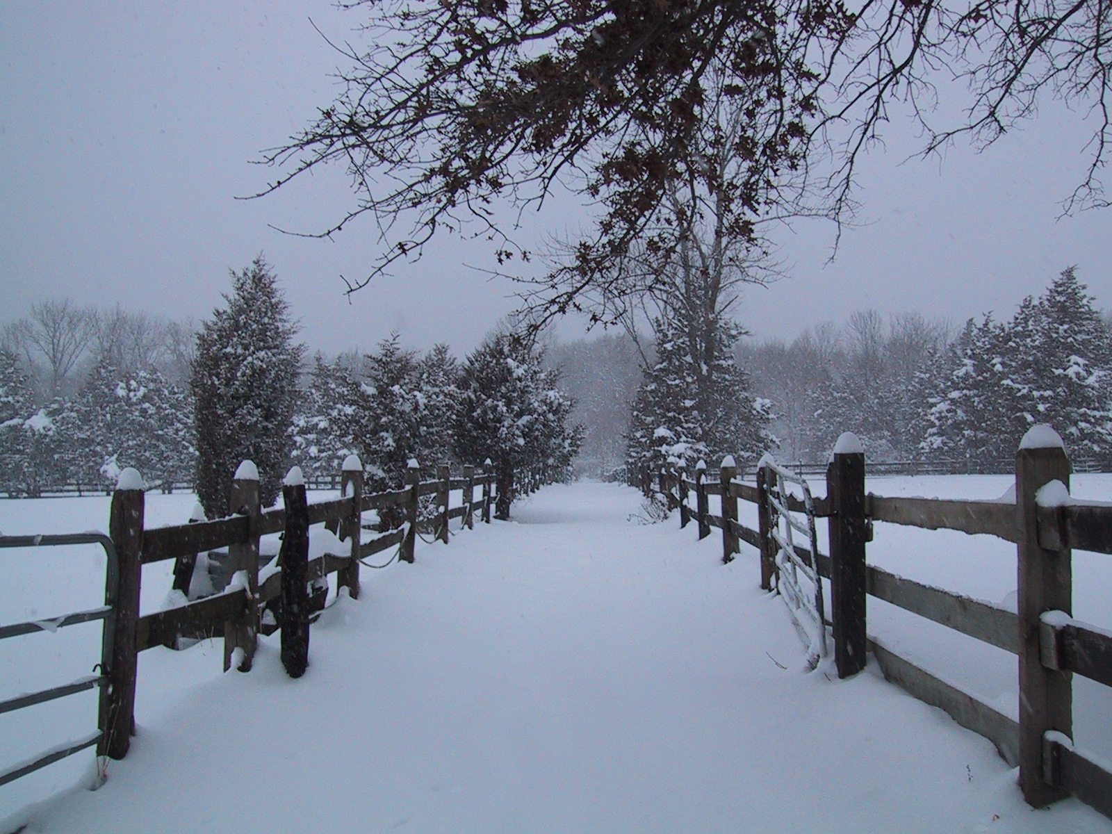 a wooden fence in front of a snowy field