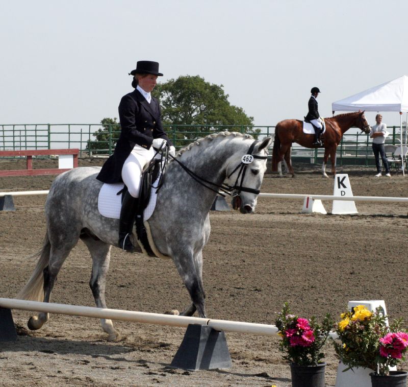 a woman riding on the back of a gray horse