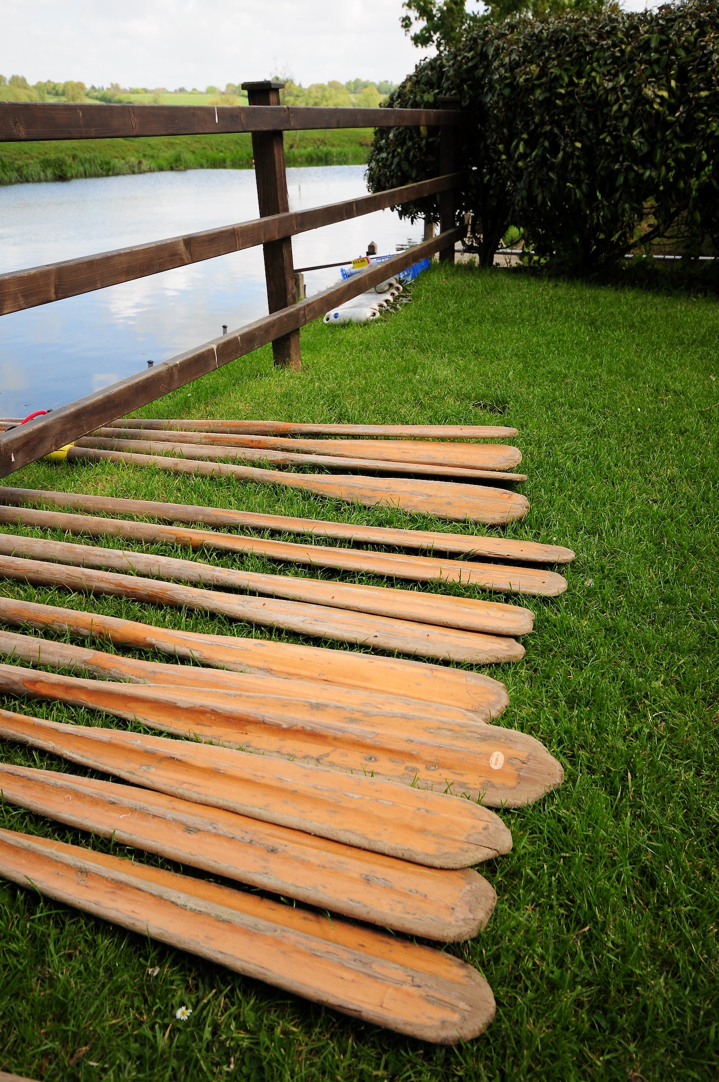 many wooden canoe paddles laying on the grass beside water