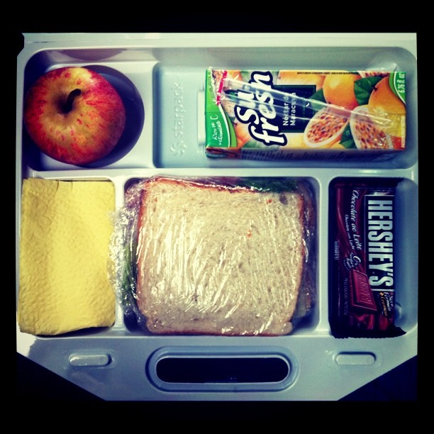 a sandwich, fruit, and snacks sit in an airplane tray
