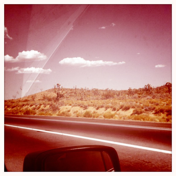 a desert landscape taken out of a car window