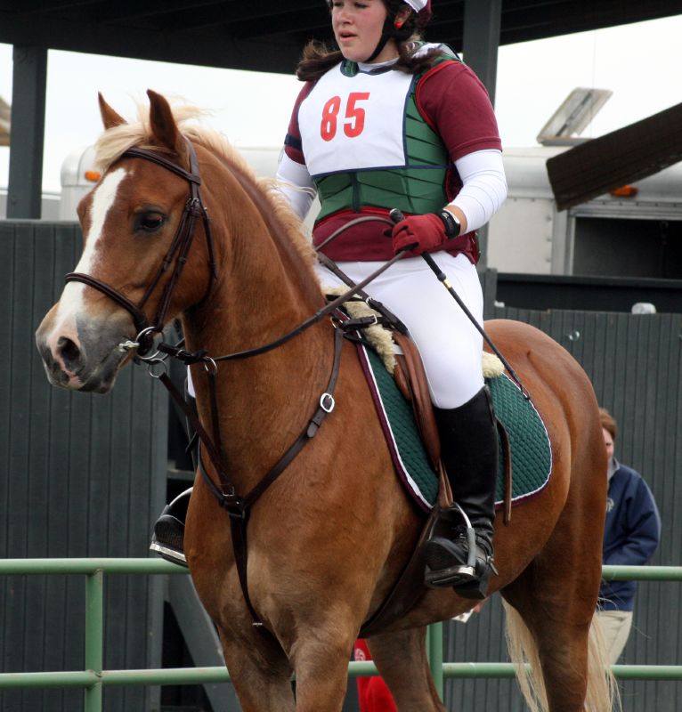 the equestrian is wearing a helmet and red gloves