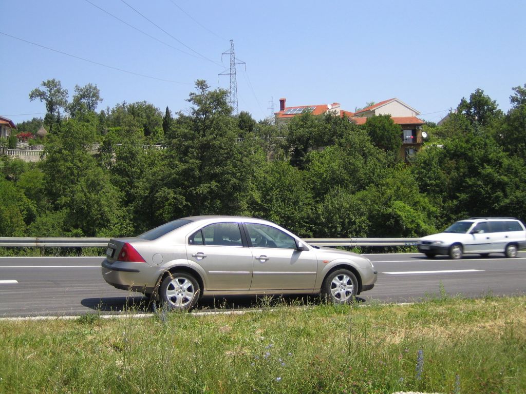 a couple of cars on a road with trees