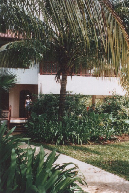 palm trees are growing near a house and walkway