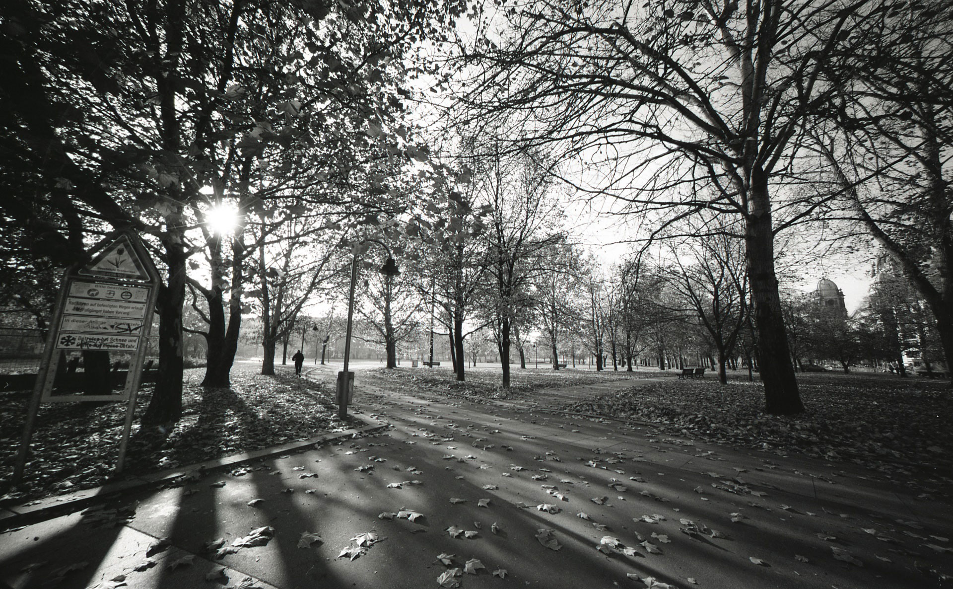 black and white po of park with trees