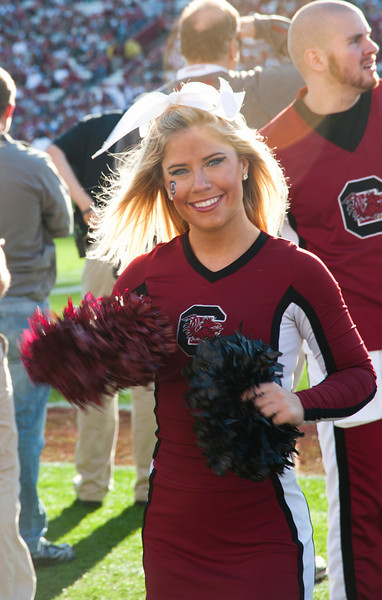 a cheerleader on the sideline is performing for her team