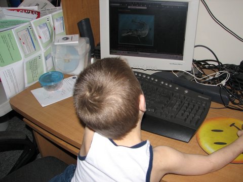 the boy is sitting at the desk looking at his computer