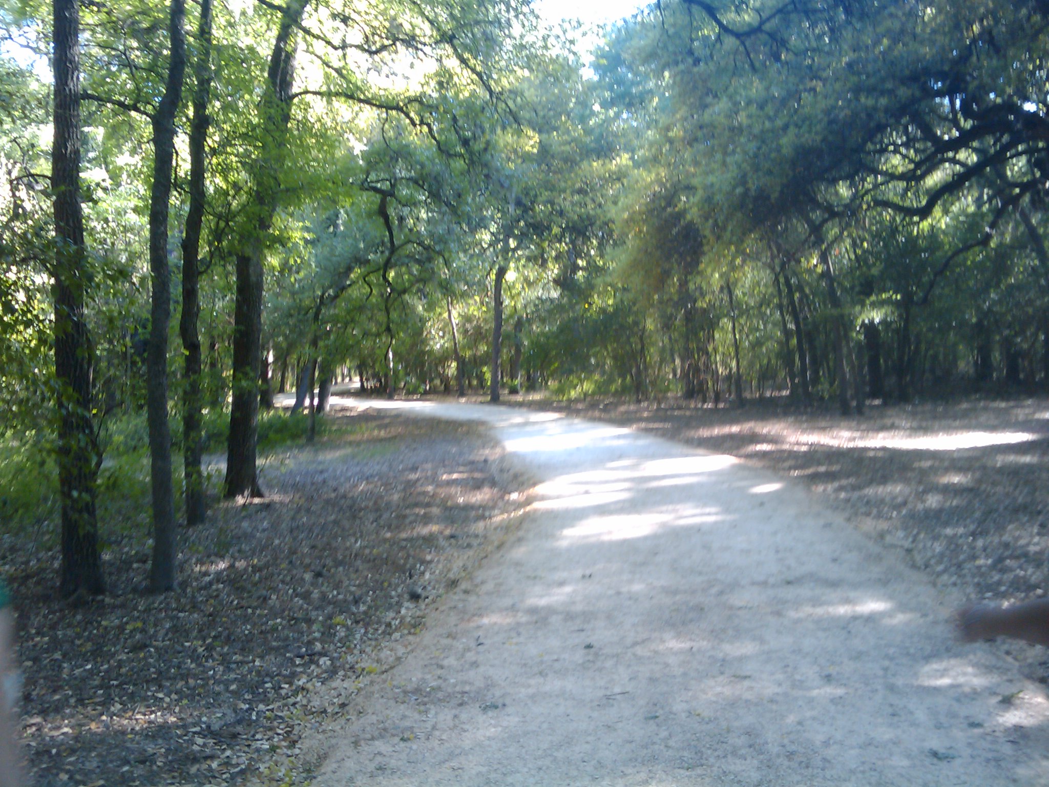 a po taken looking down a small dirt road