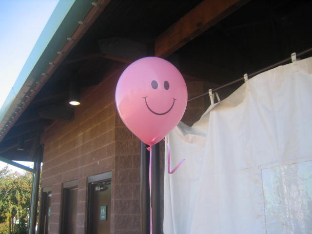 an air ballon balloon sitting outside of a house