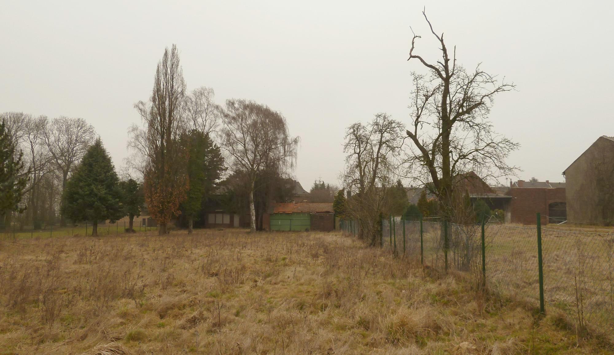 some dead grass buildings and a fence