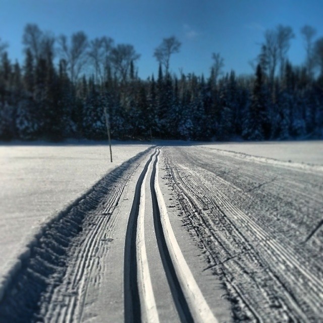 a single person riding their skis on a snowy trail