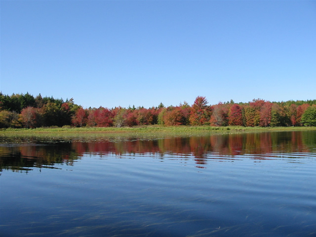 a body of water surrounded by autumn colored trees
