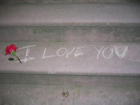 a red rose lying on the steps with graffiti reading i love you