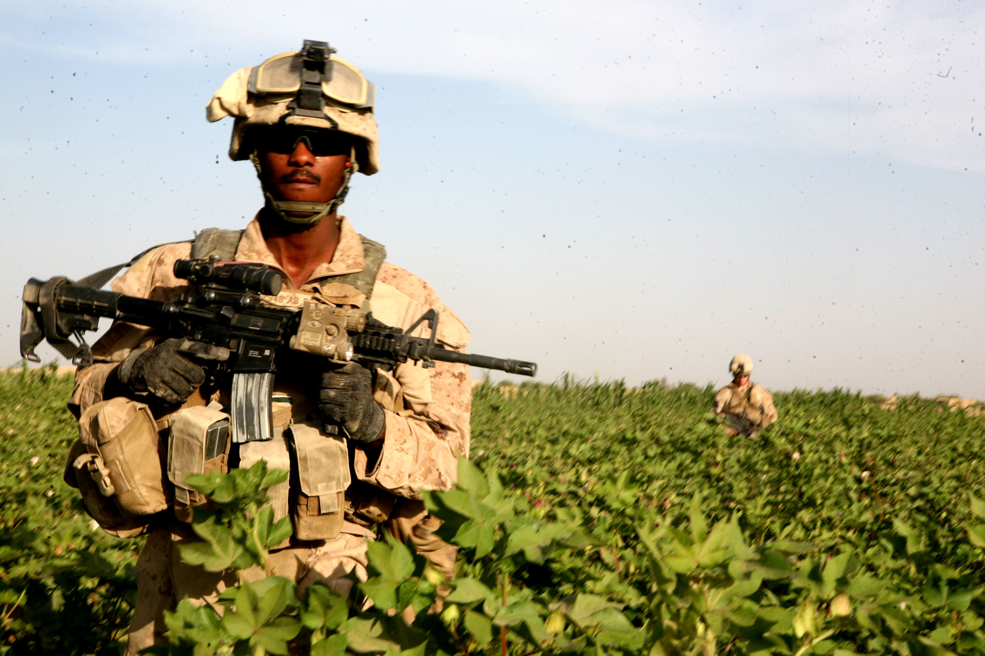 soldier in camouflage holding rifle while standing in field